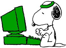 The Celtics Beagle at his computer